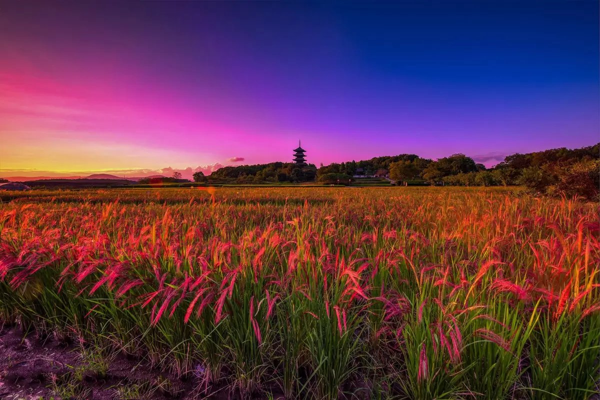 🏯 빗추 고쿠분지(비추코쿠분지) 이미지 8